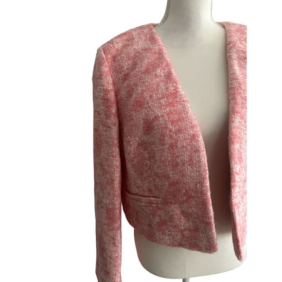 J CREW Pink Wool Blend Mario Bellucci Blazer Jacket Size 14 - Picture 2 of 11